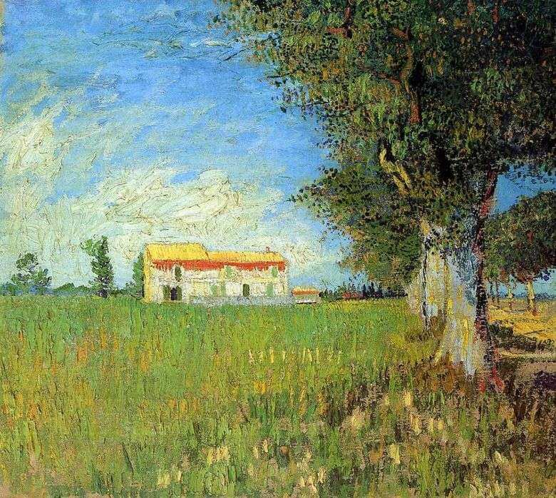 Casa en Campo de Trigo, obra de Vincent Van Gogh pintura impresionista